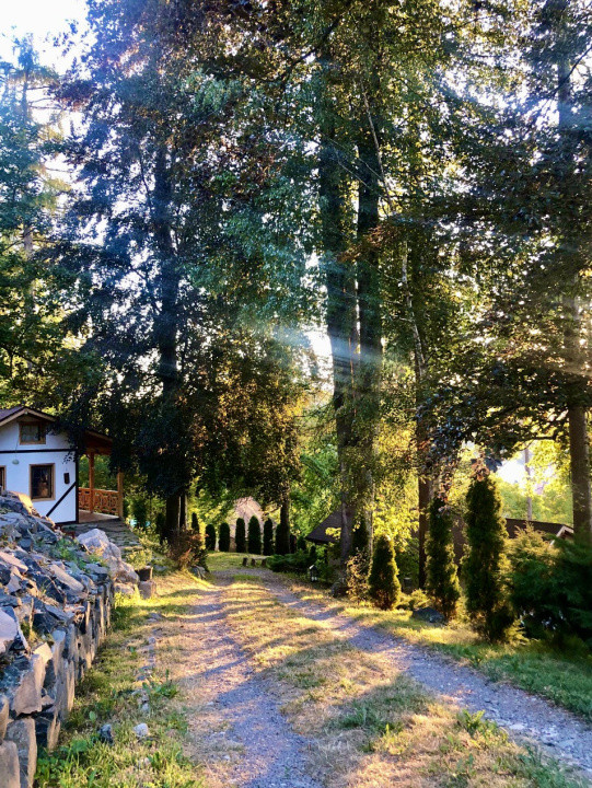 Sanctuar exclusiv multifuncțional în Sighișoara, MS