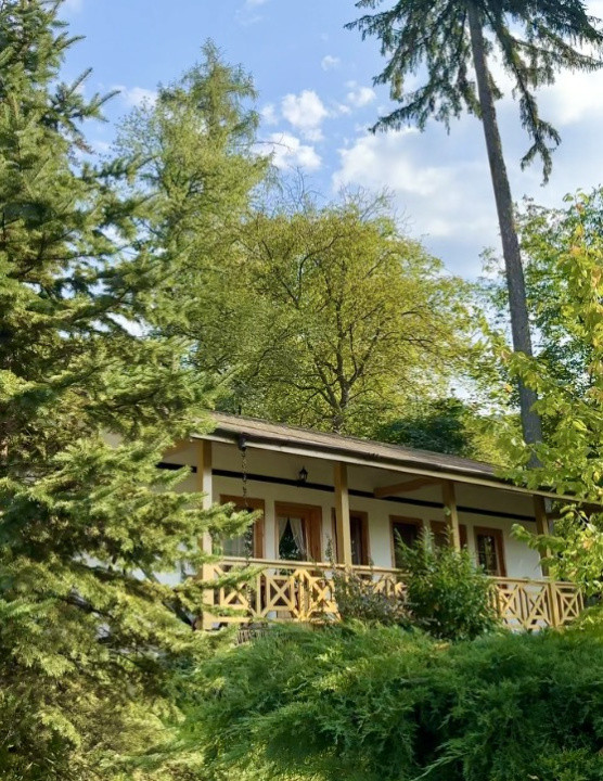 Sanctuar exclusiv multifuncțional în Sighișoara, MS