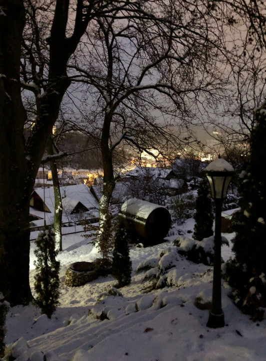 Sanctuar exclusiv multifuncțional în Sighișoara, MS