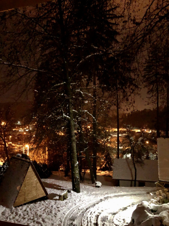Sanctuar exclusiv multifuncțional în Sighișoara, MS