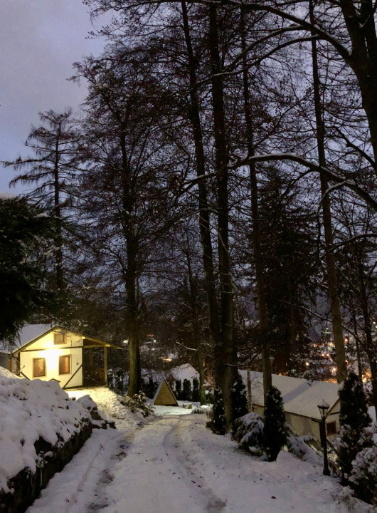Sanctuar exclusiv multifuncțional în Sighișoara, MS