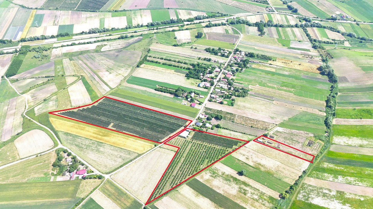 Livada+Teren 6 ha (60.000 MP) - Vulturesti, Suceava