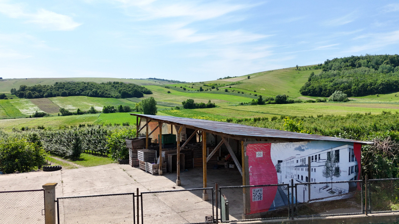 Livada+Teren 6 ha (60.000 MP) - Vulturesti, Suceava