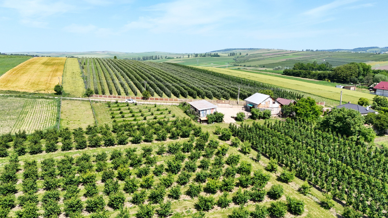 Livada+Teren 6 ha (60.000 MP) - Vulturesti, Suceava