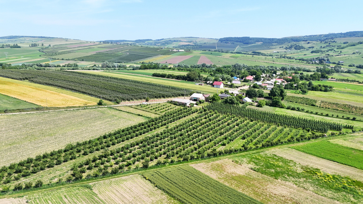 Livada+Teren 6 ha (60.000 MP) - Vulturesti, Suceava