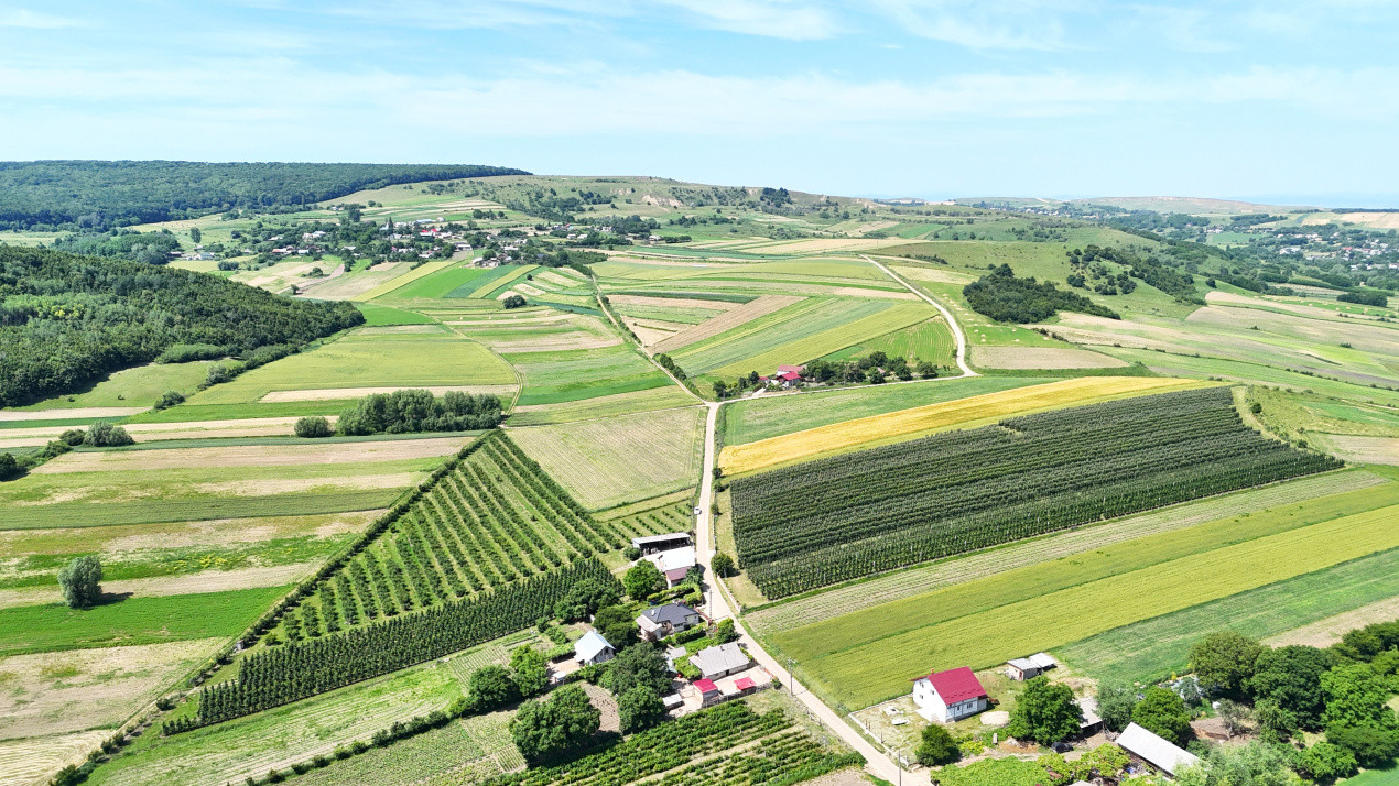 Livada+Teren 6 ha (60.000 MP) - Vulturesti, Suceava