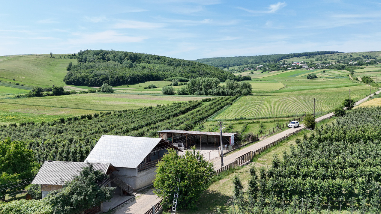 Livada+Teren 6 ha (60.000 MP) - Vulturesti, Suceava