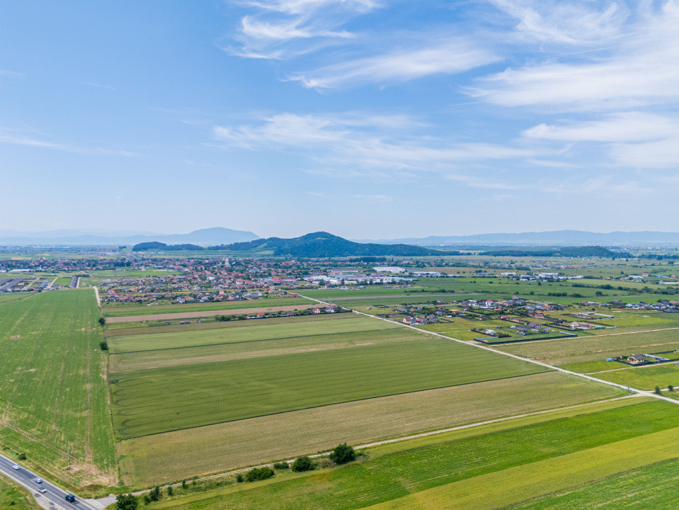 Teren de vanzare I 43.500 mp I Deschidere la drum - Harman
