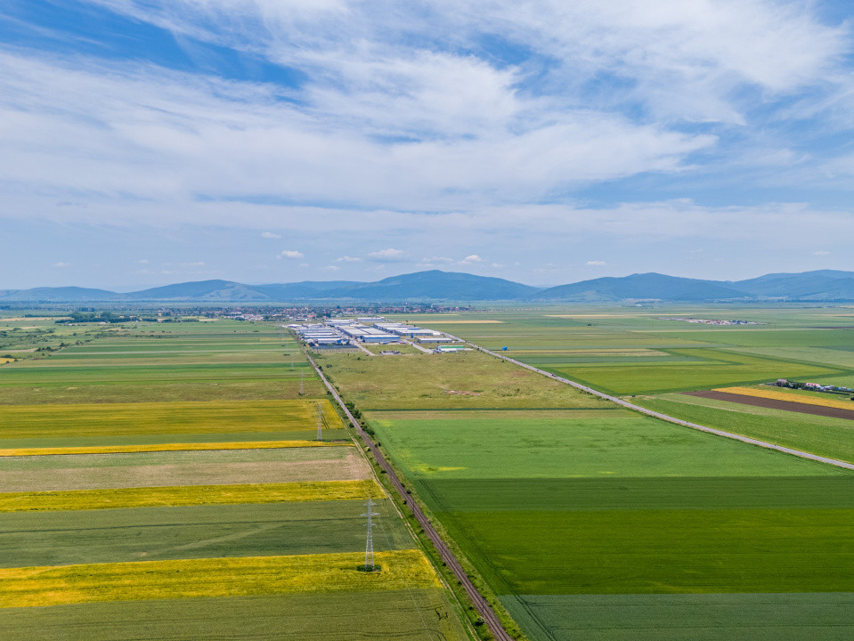 Teren de vanzare I 43.500 mp I Deschidere la drum - Harman