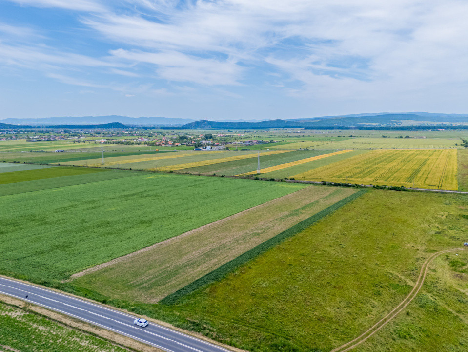 Teren de vanzare I 43.500 mp I Deschidere la drum - Harman
