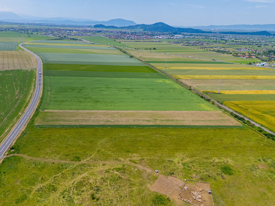 Teren de vanzare I 43.500 mp I Deschidere la drum - Harman