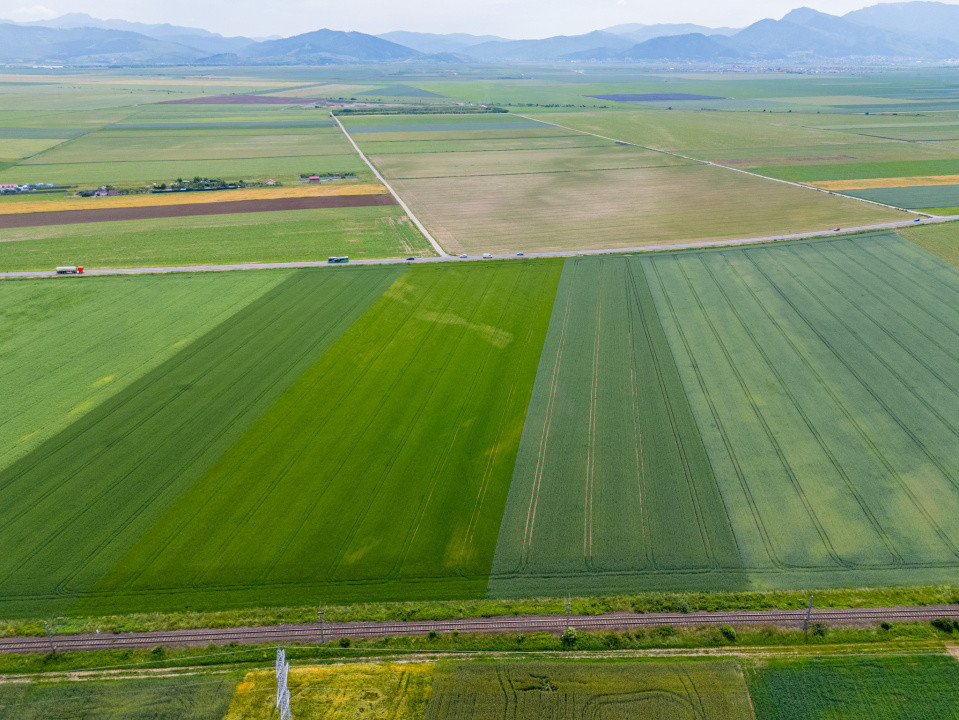 Teren de vanzare I 43.500 mp I Deschidere la drum - Harman