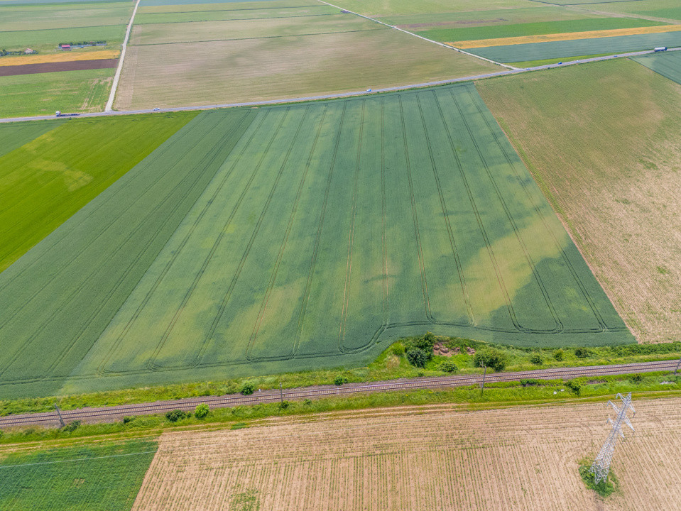 Teren de vanzare I 43.500 mp I Deschidere la drum - Harman