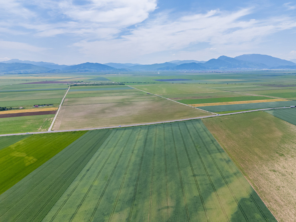 Teren de vanzare I 43.500 mp I Deschidere la drum - Harman
