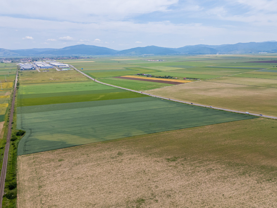 Teren de vanzare I 43.500 mp I Deschidere la drum - Harman