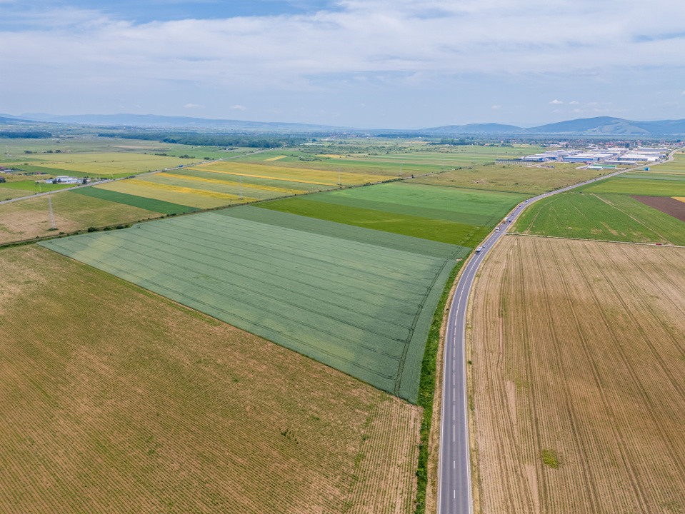 Teren de vanzare I 43.500 mp I Deschidere la drum - Harman