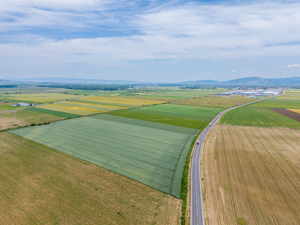 Teren de vanzare I 43.500 mp I Deschidere la drum - Harman