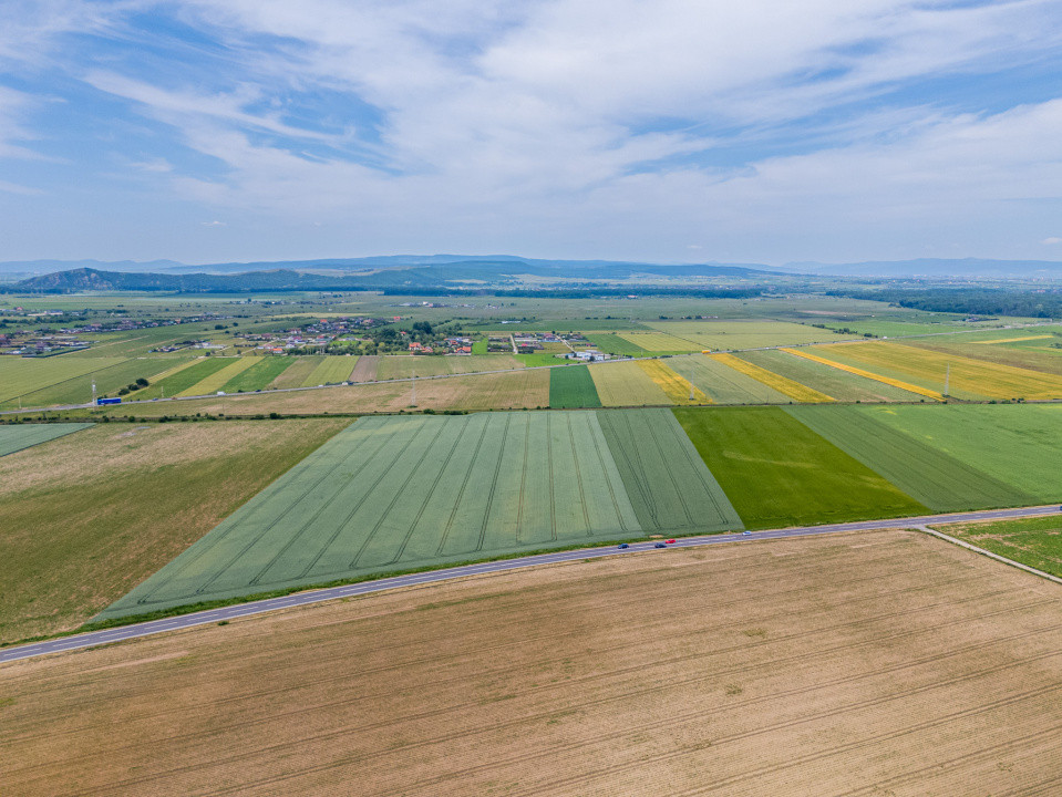 Teren de vanzare I 43.500 mp I Deschidere la drum - Harman