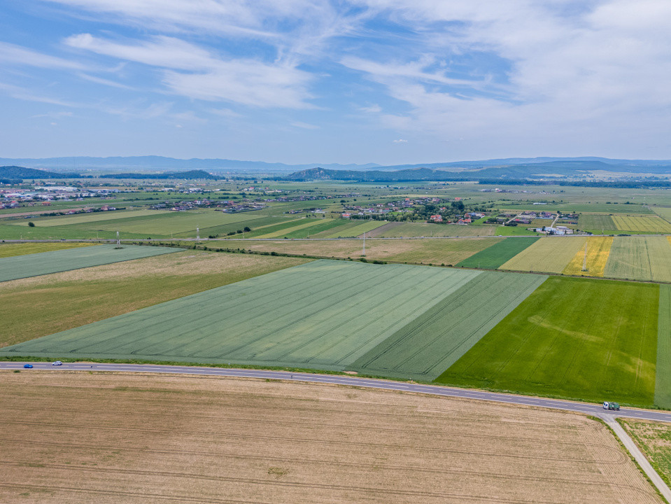 Teren de vanzare I 43.500 mp I Deschidere la drum - Harman