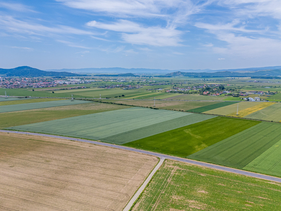 Teren de vanzare I 43.500 mp I Deschidere la drum - Harman