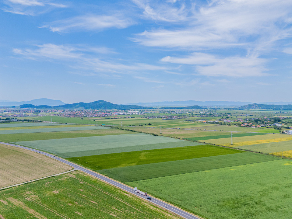 Teren de vanzare I 43.500 mp I Deschidere la drum - Harman
