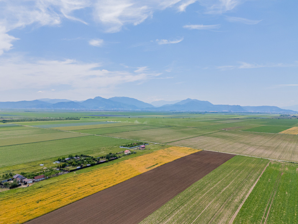 Teren de vanzare I 43.500 mp I Deschidere la drum - Harman