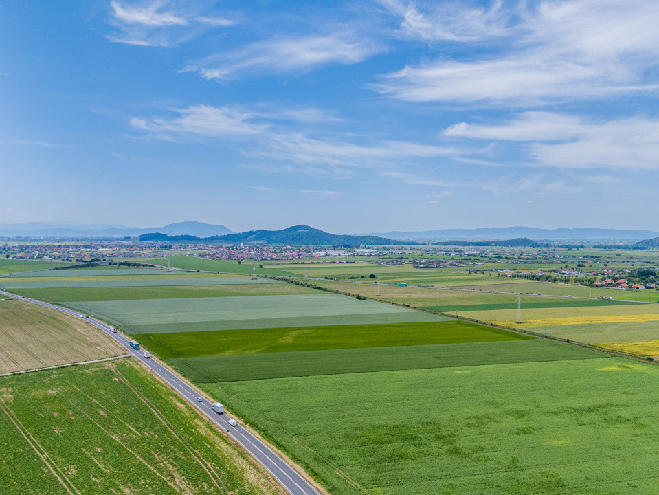 Teren de vanzare I 43.500 mp I Deschidere la drum - Harman