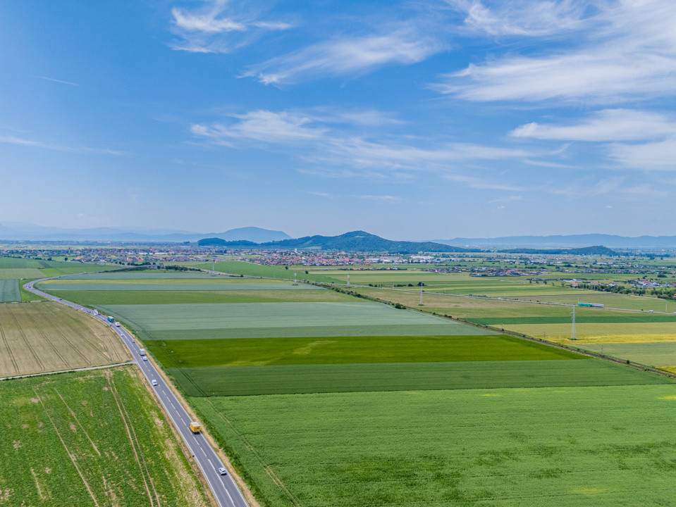 Teren de vanzare I 43.500 mp I Deschidere la drum - Harman