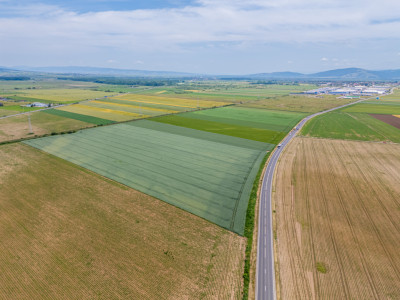 Teren de vanzare I 43.500 mp I Deschidere la drum - Harman