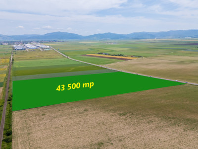 Teren de vanzare I 43.500 mp I Deschidere la drum - Harman