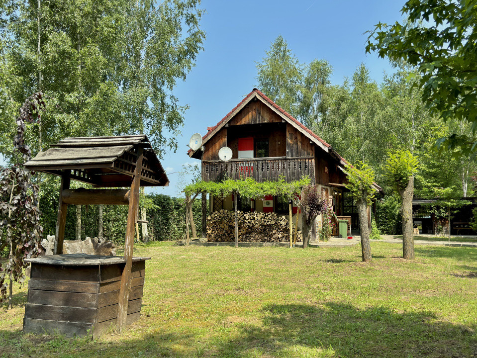 Cabana rustică de vis pe Valea Avrigului – un colț de rai în mijlocul naturii