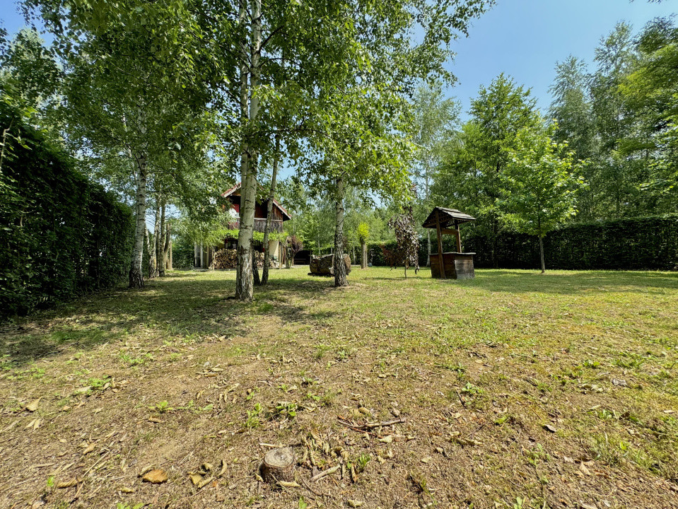 Cabana rustică de vis pe Valea Avrigului – un colț de rai în mijlocul naturii