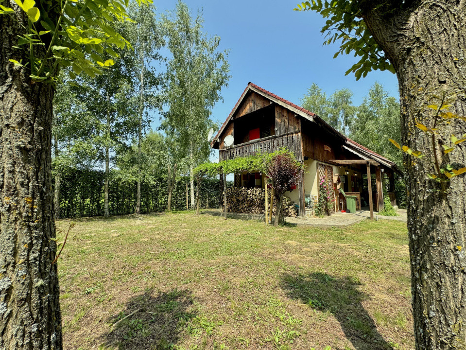 Cabana rustică de vis pe Valea Avrigului – un colț de rai în mijlocul naturii