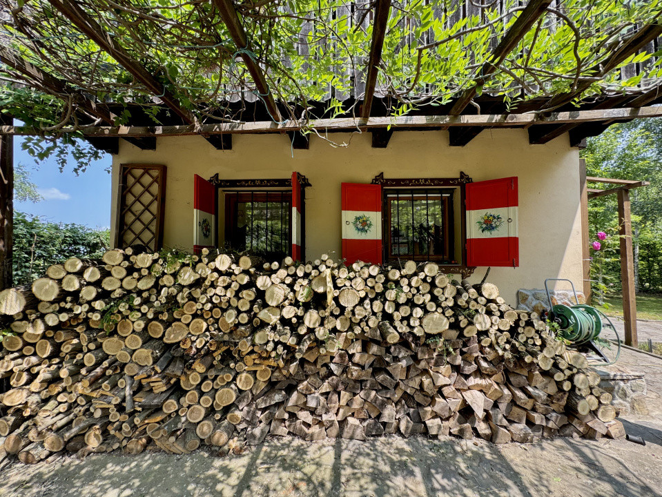 Cabana rustică de vis pe Valea Avrigului – un colț de rai în mijlocul naturii