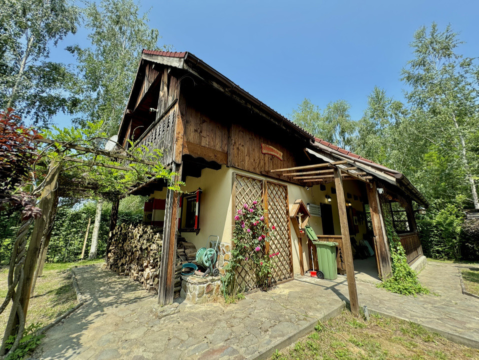 Cabana rustică de vis pe Valea Avrigului – un colț de rai în mijlocul naturii