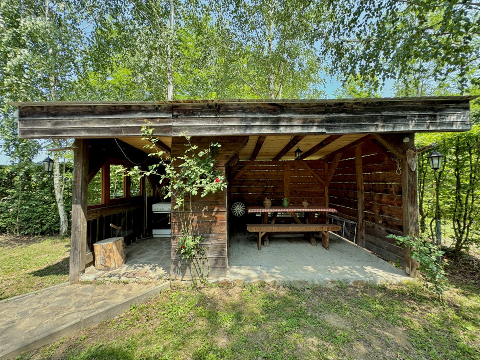 Cabana rustică de vis pe Valea Avrigului – un colț de rai în mijlocul naturii
