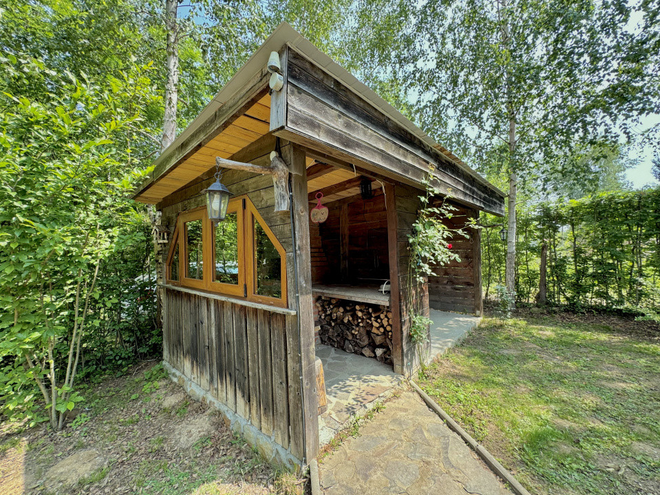 Cabana rustică de vis pe Valea Avrigului – un colț de rai în mijlocul naturii
