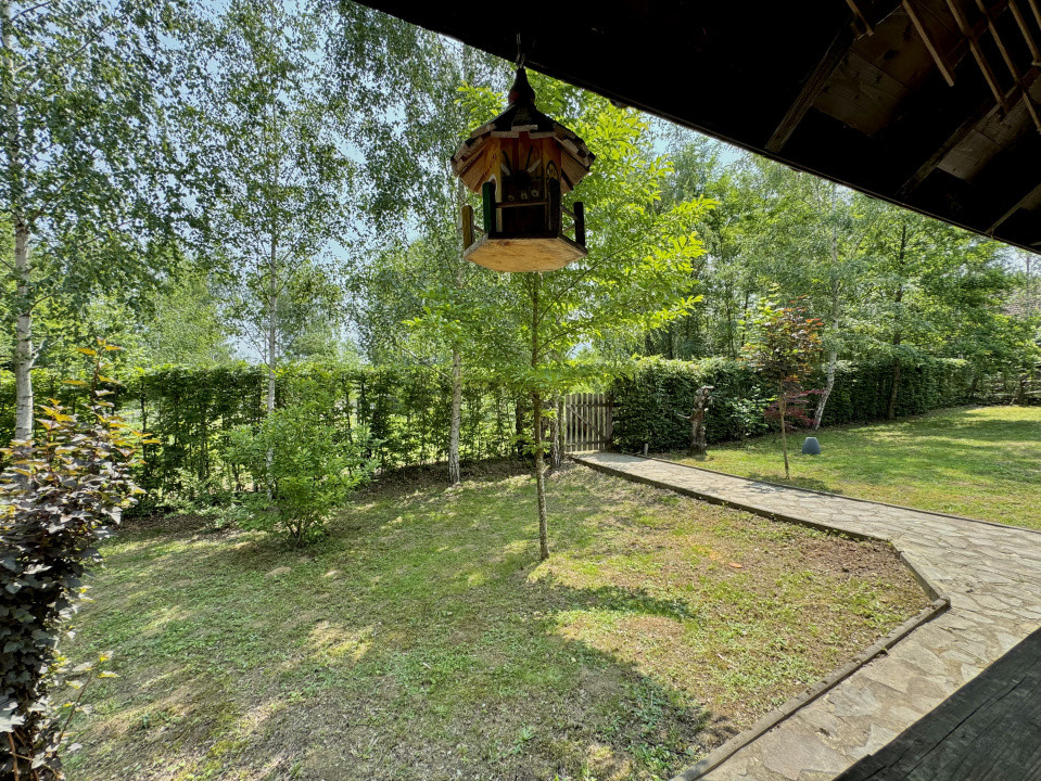 Cabana rustică de vis pe Valea Avrigului – un colț de rai în mijlocul naturii