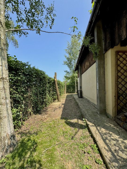 Cabana rustică de vis pe Valea Avrigului – un colț de rai în mijlocul naturii