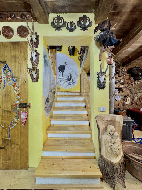 Cabana rustică de vis pe Valea Avrigului – un colț de rai în mijlocul naturii