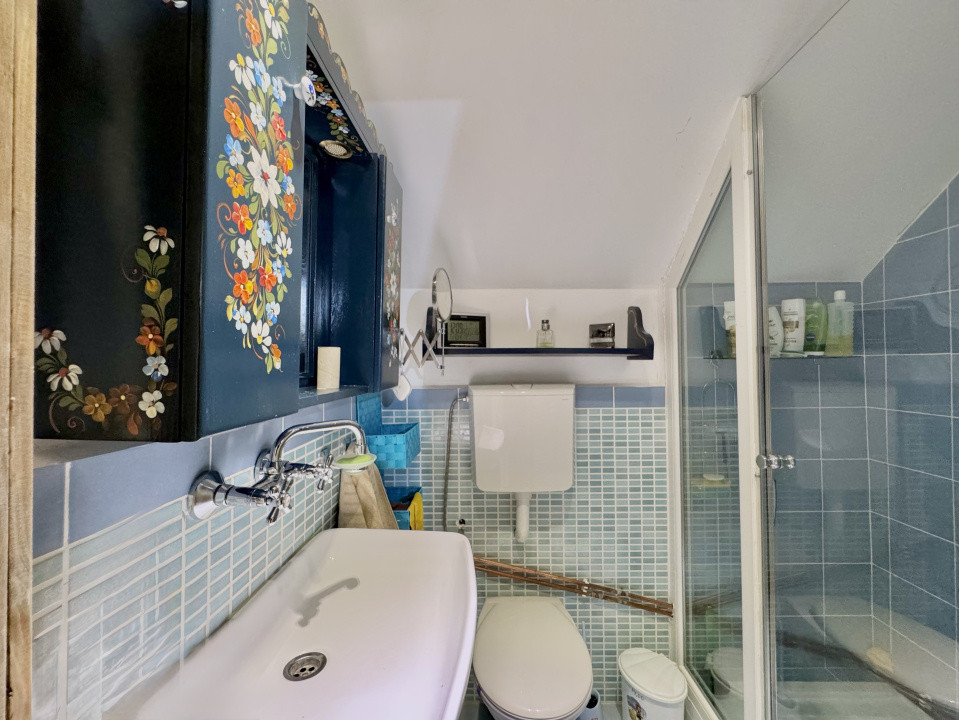 Cabana rustică de vis pe Valea Avrigului – un colț de rai în mijlocul naturii