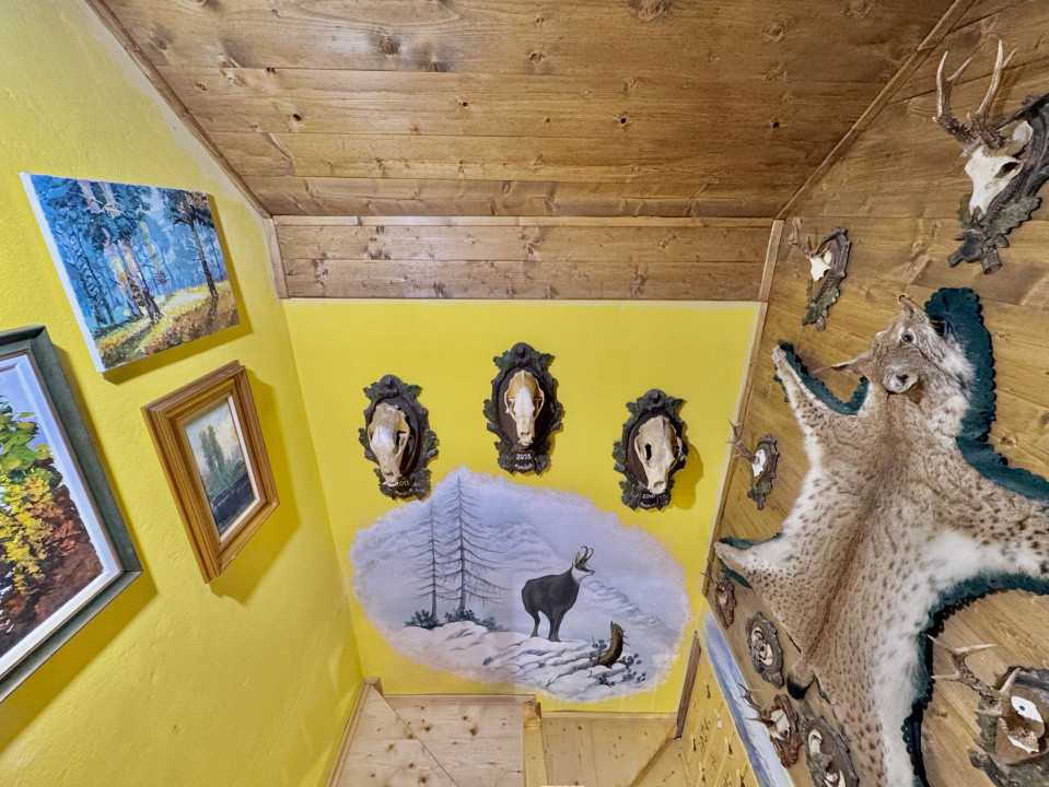 Cabana rustică de vis pe Valea Avrigului – un colț de rai în mijlocul naturii