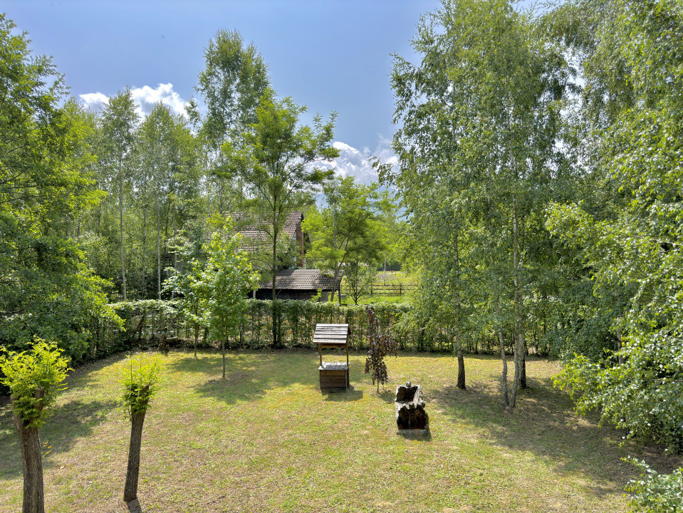 Cabana rustică de vis pe Valea Avrigului – un colț de rai în mijlocul naturii