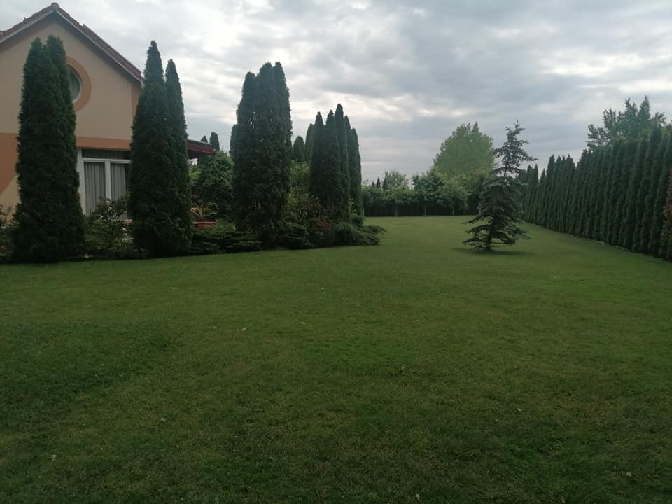 Casa Eco/Bio cu 21 ari teren la Padurea Noroieni, Satu Mare