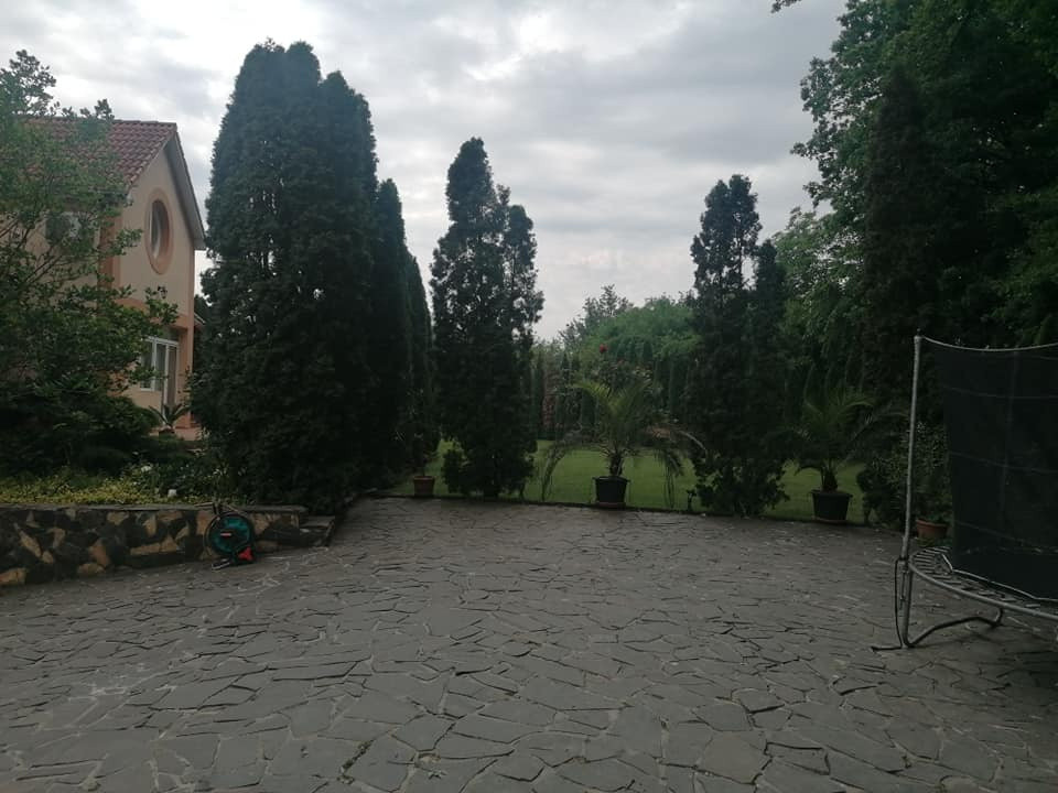 Casa Eco/Bio cu 21 ari teren la Padurea Noroieni, Satu Mare