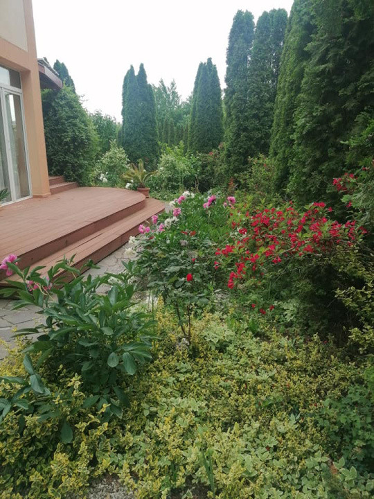 Casa Eco/Bio cu 21 ari teren la Padurea Noroieni, Satu Mare