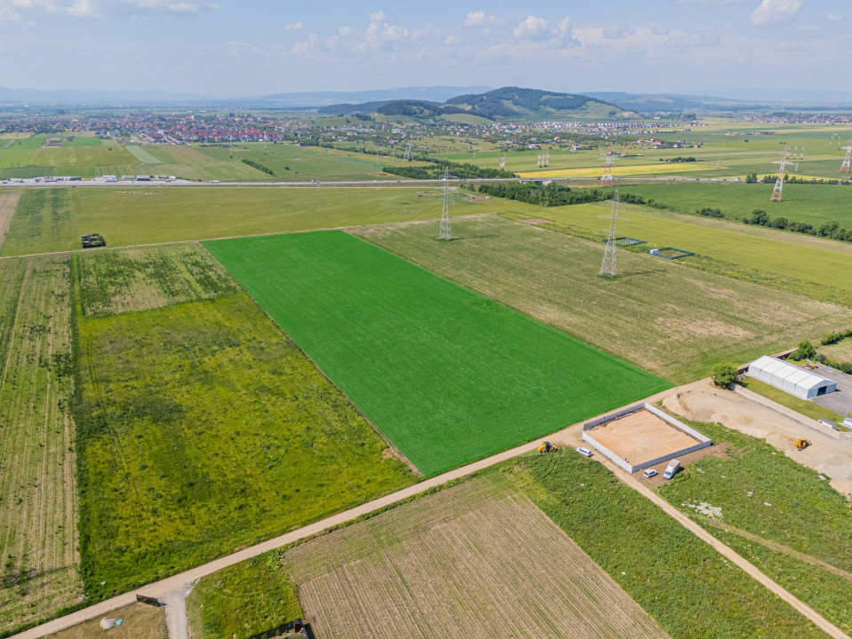 Teren Intravilan I Brasov, Zona Triaj - 25 Euro/ mp