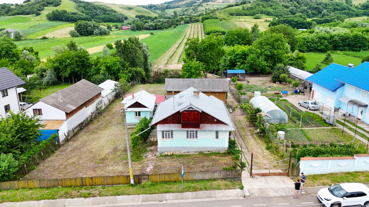 Casa+Teren 1ha - Centru Plesesti, Vulturesti