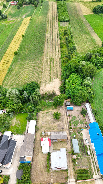 Casa+Teren 1ha - Centru Plesesti, Vulturesti