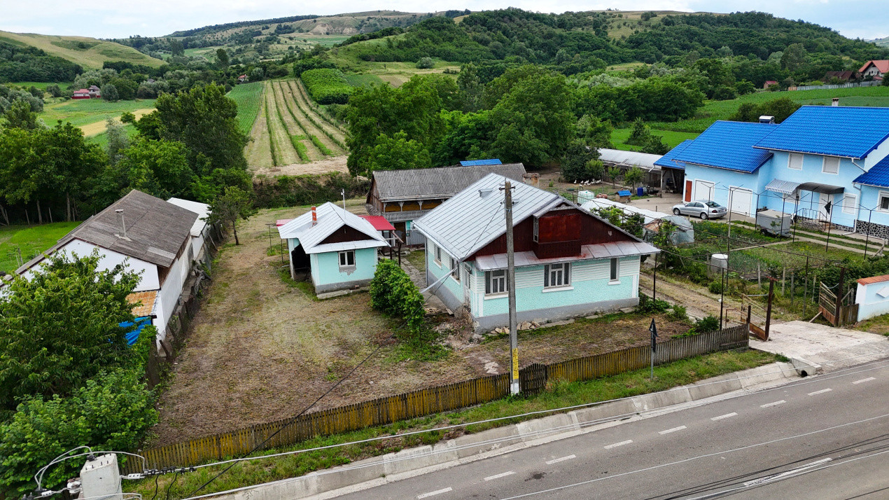 Casa+Teren 1ha - Centru Plesesti, Vulturesti